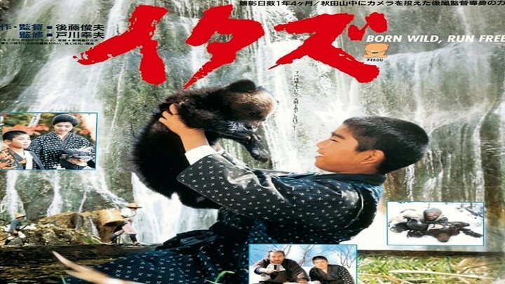 Itazu Kuma (Sub Indonesia)