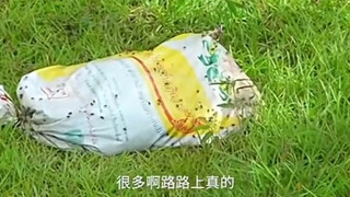 实拍：缅东苗瓦迪园区附近的丢弃的蛇皮袋里不知道装的是什么？苍蝇乱飞。。。