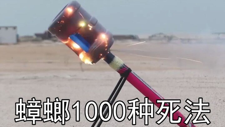 1,000 วิธีตายของแมลงสาบ [45] ครอบครัวแมลงสาบใหญ่ เจอพลุปืนครก จะรอดสักตัวมั้ย?