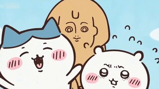 صوت الحليب الصغير لشياو با في بداياته كان لطيفًا جدًا