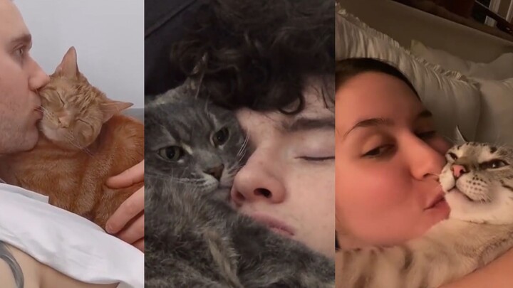 Harus mencium kucing untuk bisa bertahan hidup