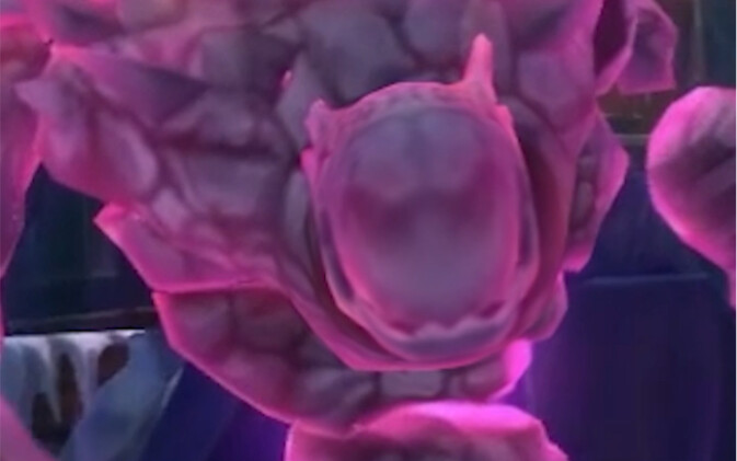 Who taught you to play the Stone Man like this? Get out of here!