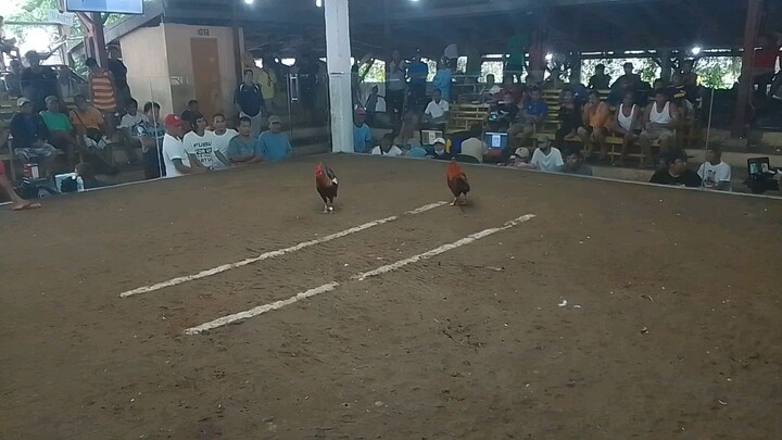 naka chamba  pang champion