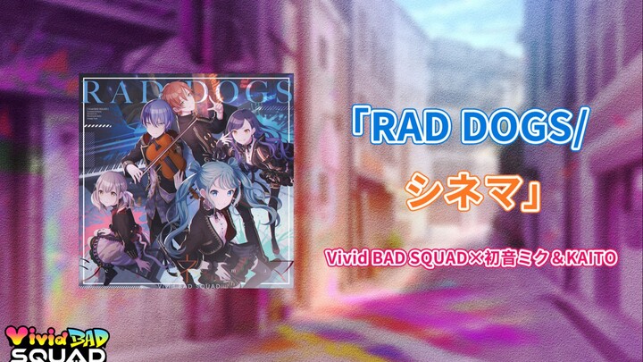 【ทีมซับ PJS】เนื้อร้องภาษาจีน-ญี่ปุ่นพร้อมคำบรรยายสำหรับซิงเกิลที่ 2 ของ Vivid BAD SQUAD “RAD DOGS／シネ