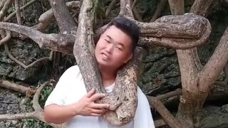 Thực ra còn có phần tiếp theo của sự việc liên quan đến Anh Chuck này nữa. Và thậm chí còn có cả phầ