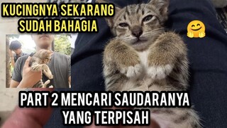 Kisah Kucing Kerupuk Part 2 Mencari Saudaranya Di Pinggir Kali Yang Belum Di Temukan..!