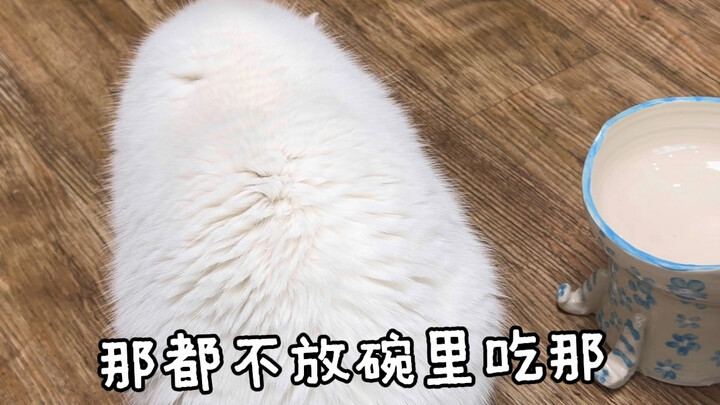 【คุณวังชี่】ผู้สร้างคอนเทนต์กำลังสำรวจ ยินดีให้ทุกท่านรับชม ขอสามคลิกด้วยนะ!