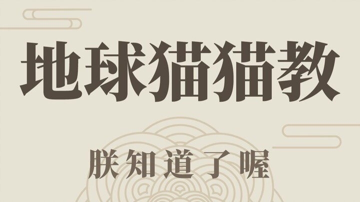 Who could possibly resist a cute little cat?