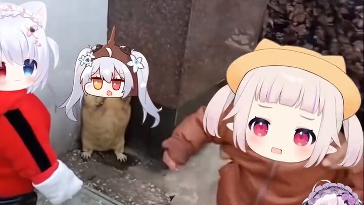 [True Red Li Ai] สาวซากุระชมผลงานชิ้นเอกล่าสุดของ Skull Teacher "Bullying a Rice Bug" Li Ai ก็อยากร่