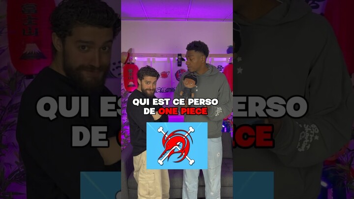 QUI EST CE PERSO DE ONE PIECE ?