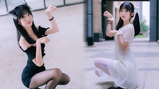 黑猫和白猫~总有一个你喜欢❤猫步轻俏 AOA 【生日作】【NeKo】6/23