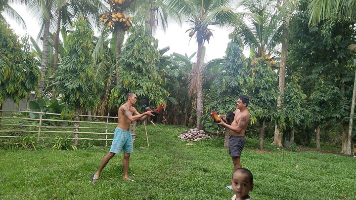 spar 1