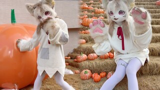 快开门呀~猫猫都来你家敲门了♡ 啵啵美 ~