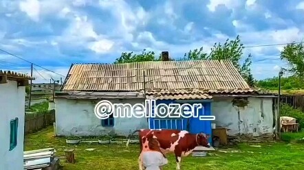 ［Meme Nga #186］Vua ép kiệt 🍼