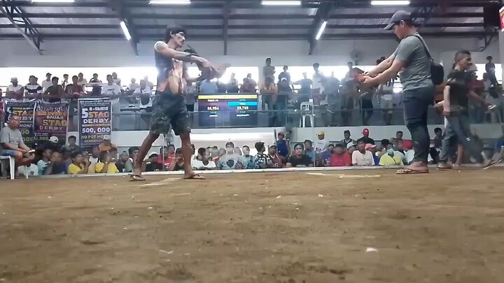bauan