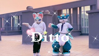 ออร์คบนดาดฟ้า｜DITTO