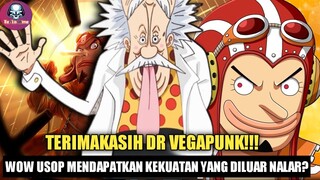 ONEPIECE 1067 : KEKUATAN TERBARU USOP BIKIN FANS KAGET????