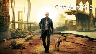 全球爆发致命病毒，只剩下一人一狗艰难求生！惊悚片《我是传奇》