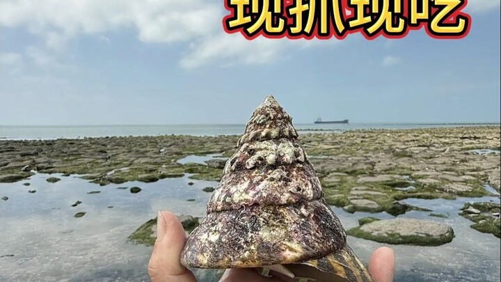 Foraging for seafood at low tide, caught and eaten on the spot