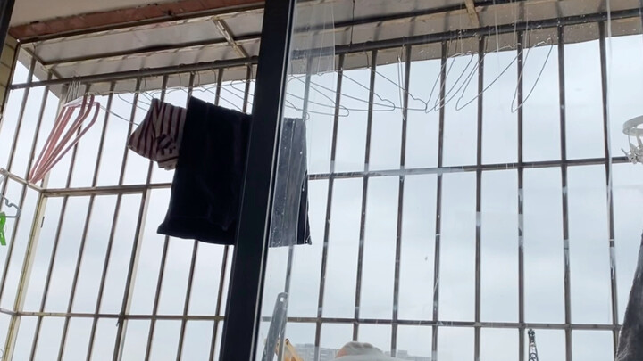 铲 屎 官 的 封 窗 干 货 教 程