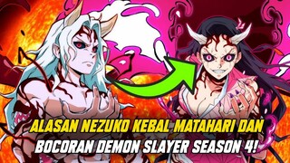 TERUNGKAP! RAHASIA NEZUKO DAPAT TAHAN MATAHARI DAN TANJIROU AKAN JADI HASHIRA SEASON DEPAN?!