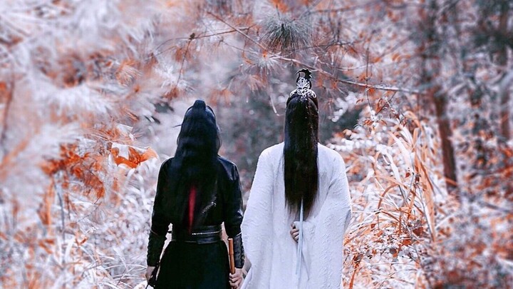 [Bojun Yixiao] ในระดับความเข้ากันได้ของ Tianxuan CP 95 แต้ม