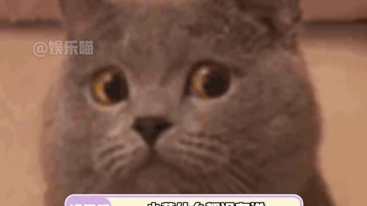 Every car seamlessly pulls over to let Little Yellow pass—big trucks included! #Funny #DrivingSafety