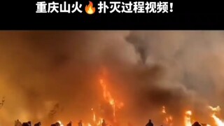 วิดีโอกระบวนการดับไฟป่าฉงชิ่งที่ชาวเน็ตอเมริกันแห่แชร์กันอย่างบ้าคลั่ง! ชาวเกาหลีดูแล้วใจสลายหลังเปร