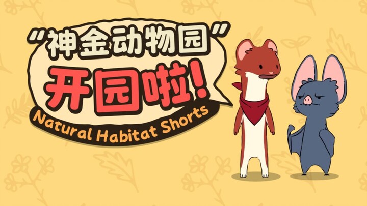 Official announcement – the grandeur has to be maxed out 🎁