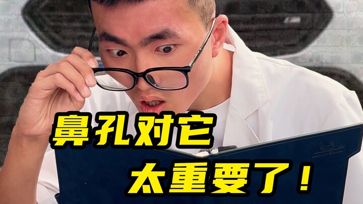 鼻孔原来这么值钱！