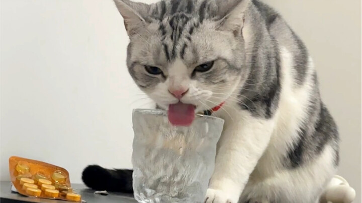 Jangan minum airku…