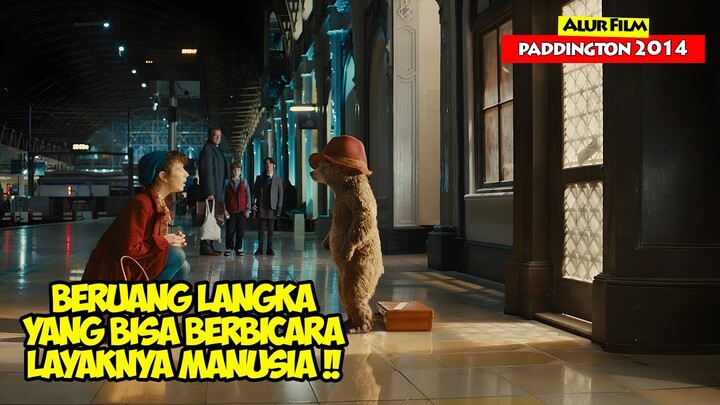 Kisah Beruang Langka Yang Bisa Berbicara Dan Bersahabat Dengan Mnausia | Alur Cerita Film PADDINGTON