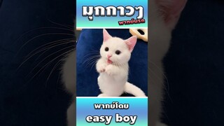 มุกกาวๆ คำถามกวนตีน #shorts #คลิปตลก #มีมภาษาคลิปสั้น