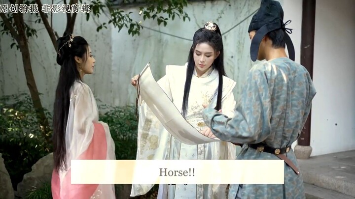 general and princess Chinese gl series