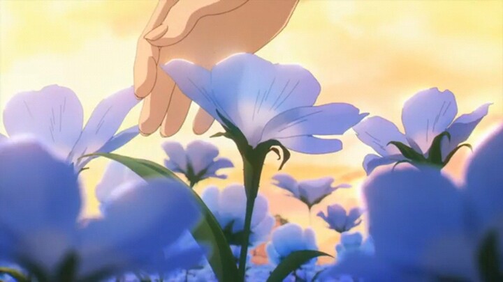 flowers violet