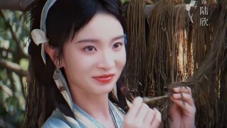 Shi Ce 史策  as Lu Xin [ Shadow Love 与晋长安 ]