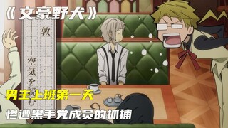 文豪野犬，男主上班第一天，惨遭黑手党成员的抓捕