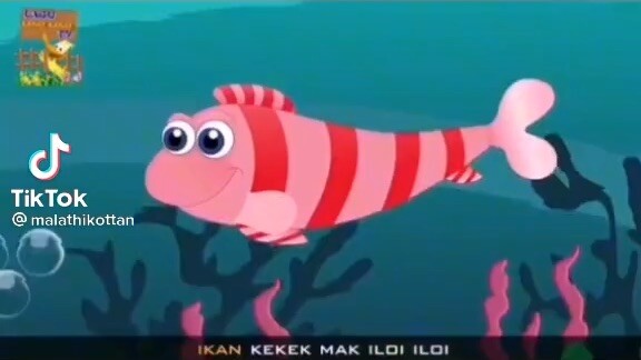 ikan kekek🐟🐠