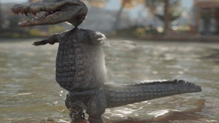 Hơn 4300 lỗi! Ngay cả nhà sản xuất cũng không thể chơi tiếp được! [Review thẳng thắn của anh chàng m