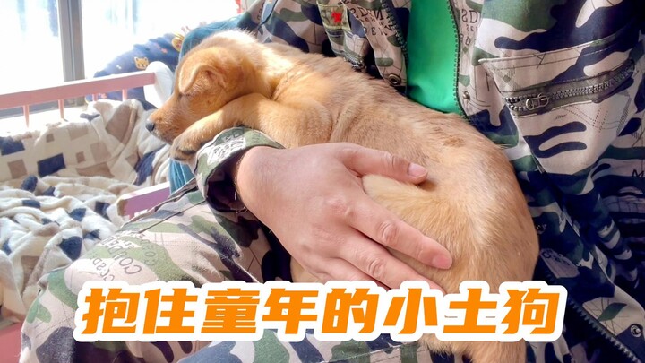 Ôm chú chó cỏ nhỏ ngủ, cứ như ôm lấy tuổi thơ của chính mình. Thế hệ 9x, bạn có cảm giác này không?