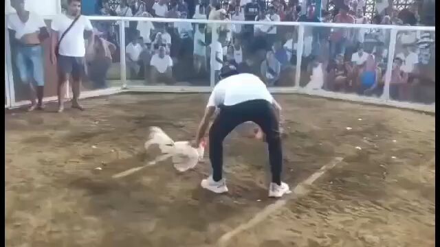 tukong bulik by James  GF