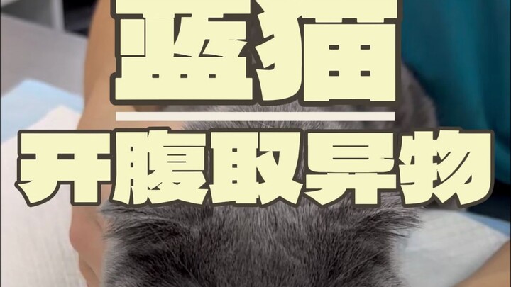 I am singing for the first time today. Do I have the potential to be a UP in the music section?