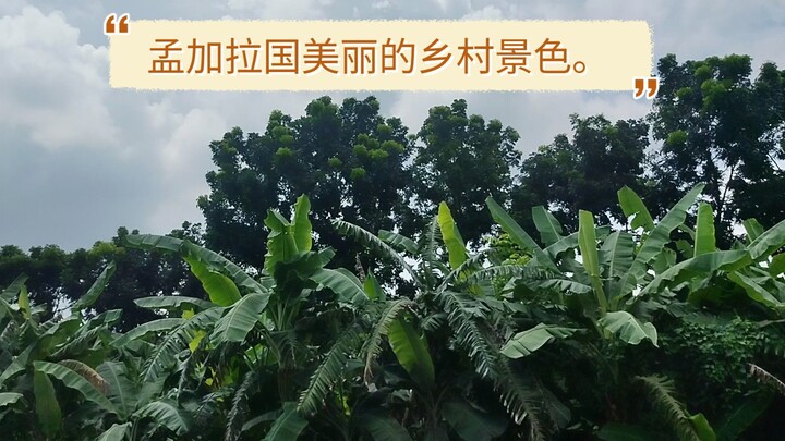 美丽的孟加拉国。孟加拉国的乡村风光。孟加拉国之旅。 Beautiful Bangladesh. Village Scene of Bangladesh. Travel to Bangladesh.