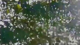 意外的结局