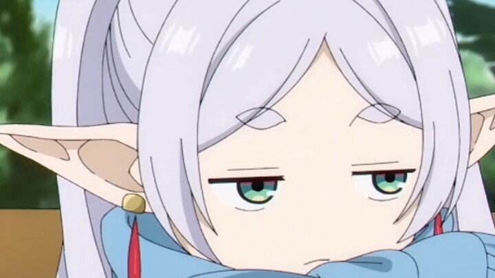 Chỉ là ở quê nhà của Aize không thể nhìn thấy hoa thôi.