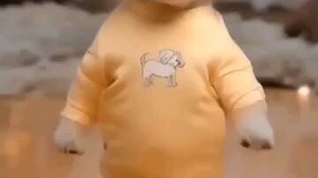 You wont stop smiling this
