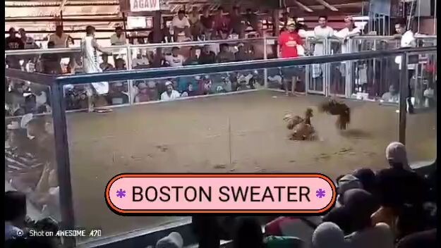 client update WIN, thank u for trusting RR BROTHER LINES..