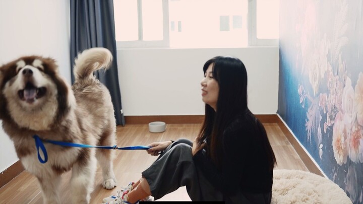 ทุกสเปรดคือโอกาสที่จะรักษามันไว้! |โครงการอาหารและเสื้อผ้าสำหรับสัตว์จรจัด|