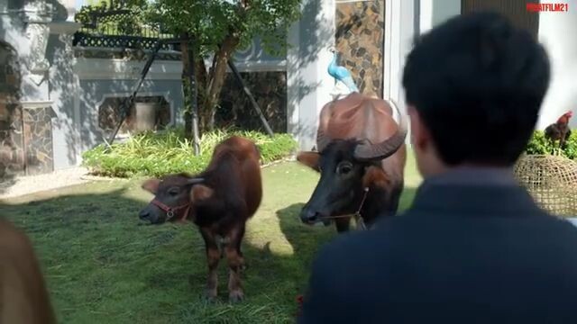 Romansa Kampung Halaman Ep 8 END SUB INDO | Dhewee Film