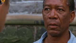 phim Nhà Tù Shawshank cuộc vượt ngục vĩ đại 4 #reviewphim